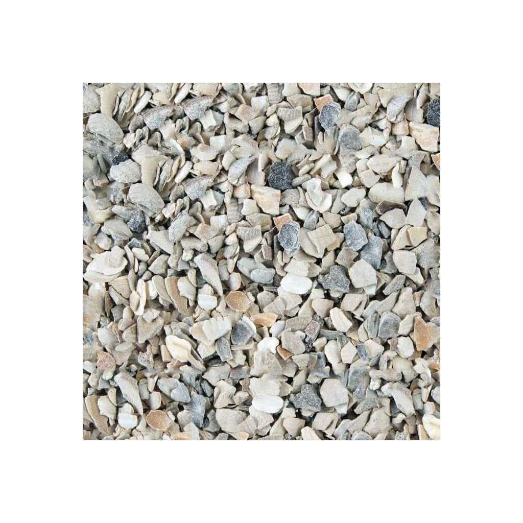 - Zoanthus.fr - Zdrobljene školjke kamenica