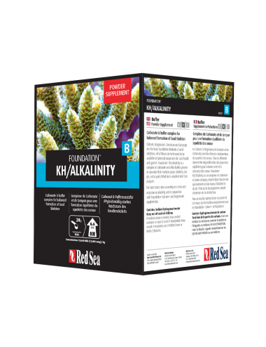 Red Sea - Reef Foundation B (Alk) - 1 kg di polvere