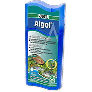 Anti Algae
