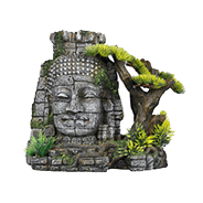 Decoração e layout para aquários de água doce