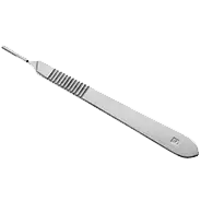 Sticklingar