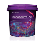 Obogatena grebenska sol