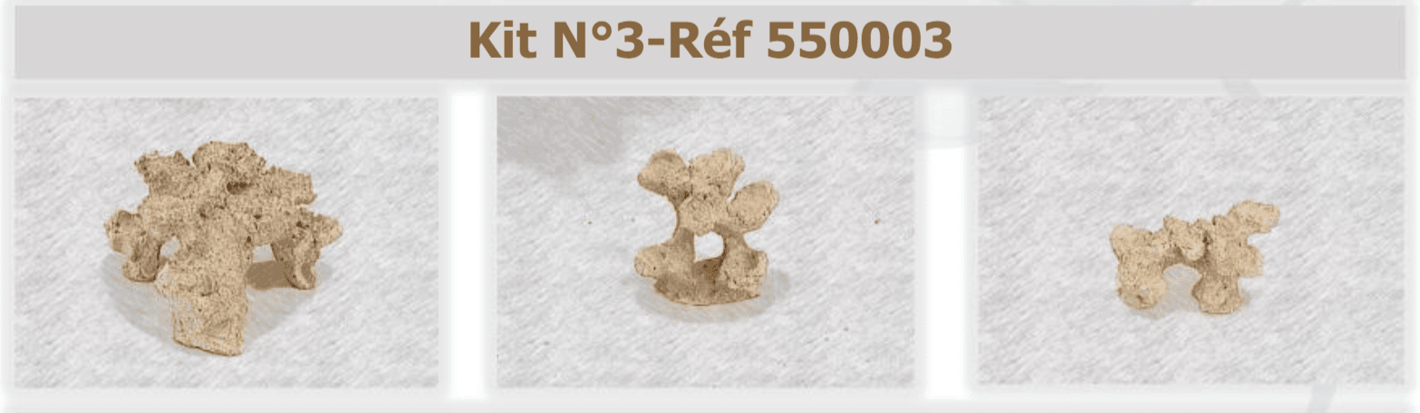 Composition of the ConneXion Rock&Reef Kit 3