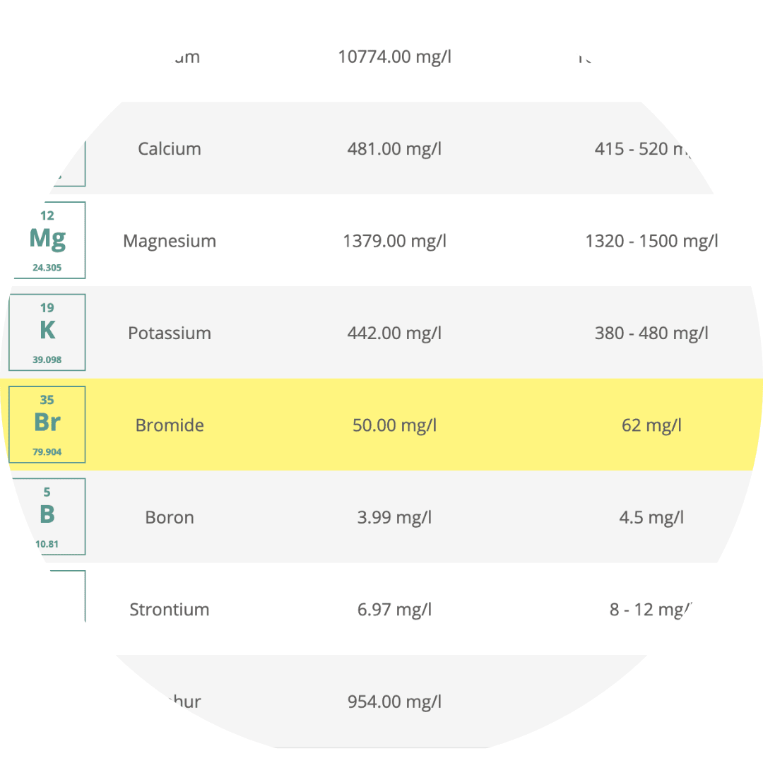 Triton lab results page with an example showing the issues marked.
