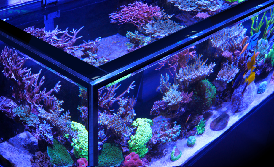 Cuve en verre ultra-clair aquarium RED SEA Reefer MAX Peninsula S-700 G3