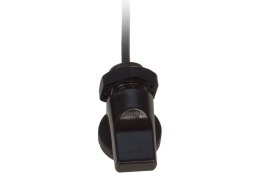 Comment créer l’aquarium idéal pour votre Combattant ? - Zoanthus